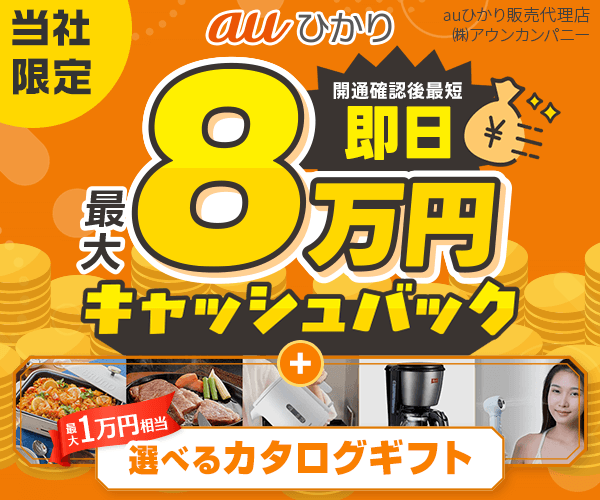 auひかり＠niftyキャンペーンサイト