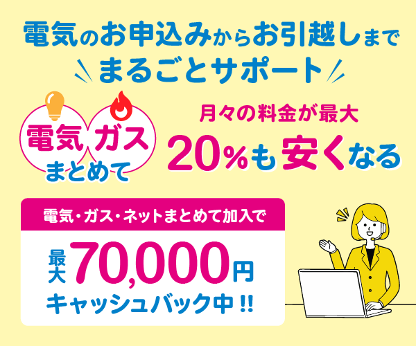 電気の手続きサポートセンター